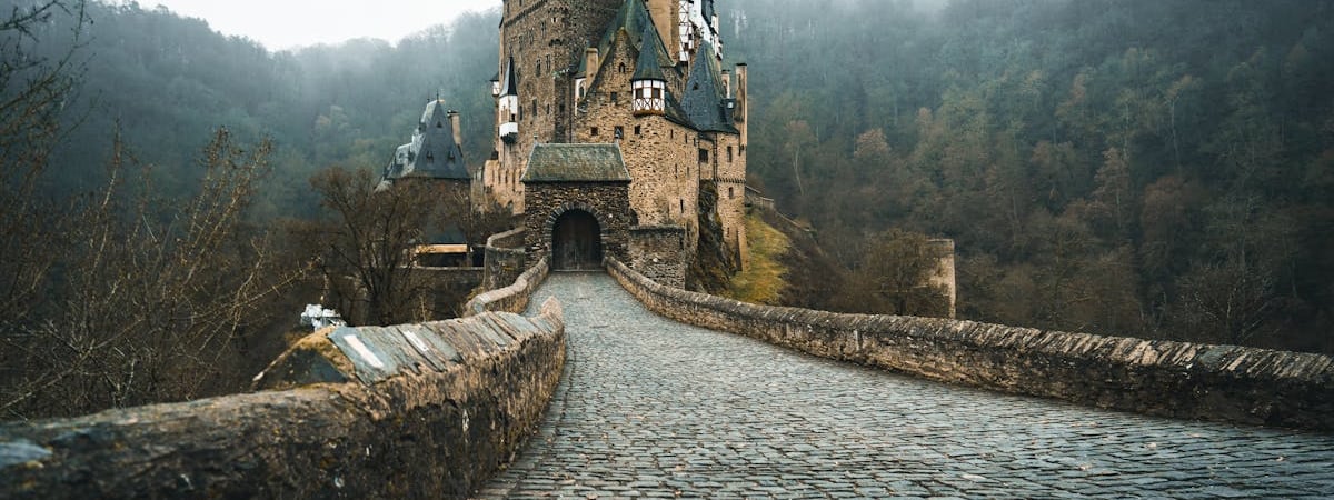 Германия до конца года поставит Украине еще четыре системы IRIS-T