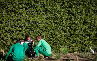 Минтруда внесло изменения в справочник должностей служащих в сфере образования