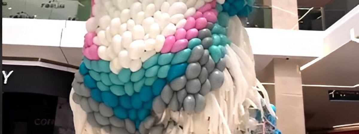 «Плакали, когда лопали» — В Казахстане экоактивисты распорядились ликвидировать фигуру кошки из воздушных шаров — Видео