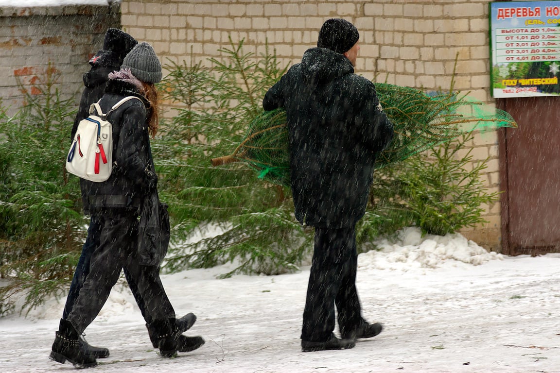 Снегопад и ёлочные базары в Витебске. Фото Сергея Серебро