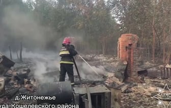 В двух деревнях на Гомельщине в пожаре сгорели 16 зданий — Видео