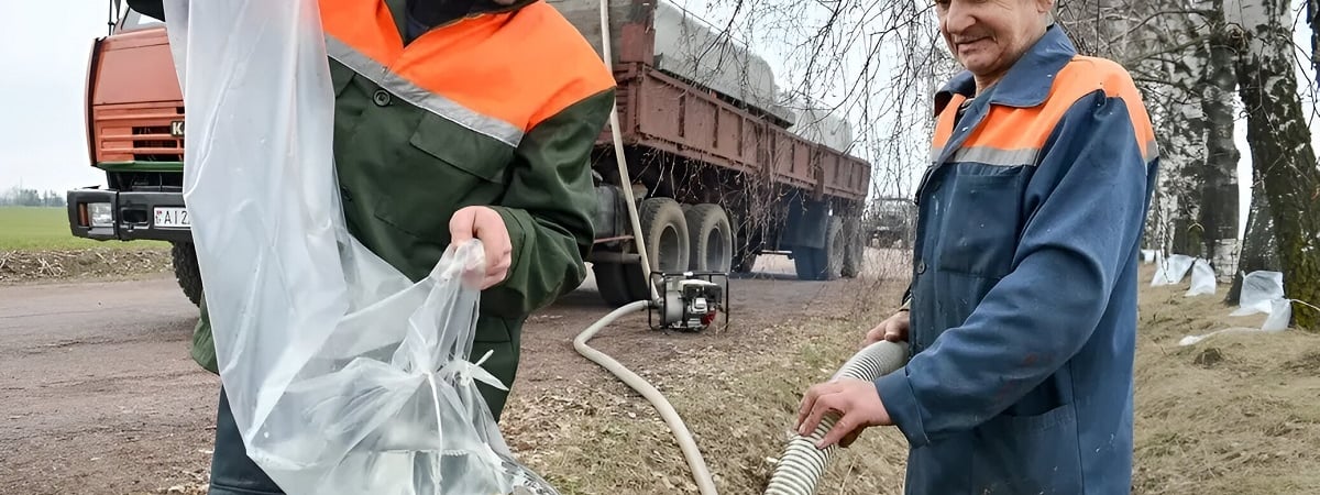 От 49 копеек за литр. Минский лесхоз объявил, где и когда начнут продавать берёзовый сок — Полезно