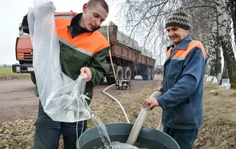 От 49 копеек за литр. Минский лесхоз объявил, где и когда начнут продавать берёзовый сок — Полезно