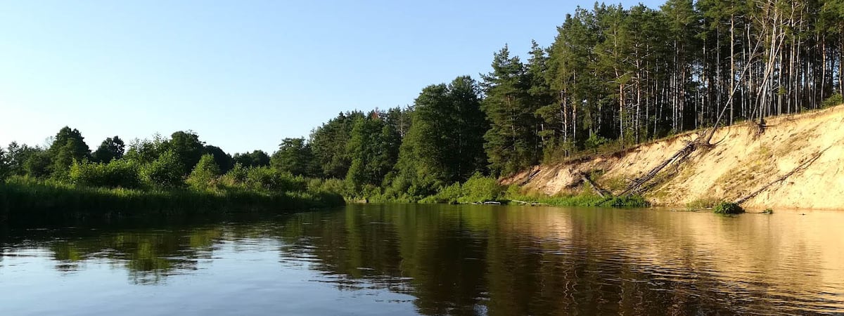 После дождей вернется жара — погода в Гродно на неделю