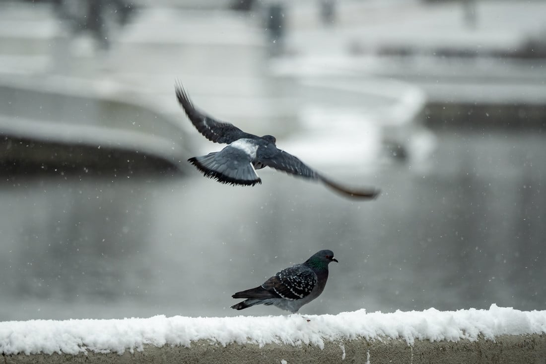 Белорус уверяет, что много лет растил не своих детей — и не знал об этом