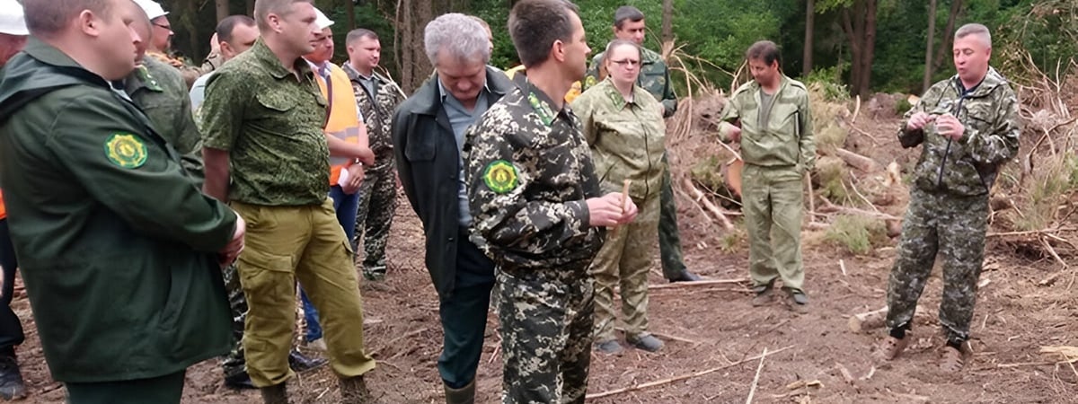 Белорусским лесникам разрешили выписывать штрафы по десяткам статей КоАП — Официально
