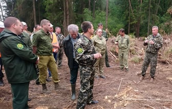 Белорусским лесникам разрешили выписывать штрафы по десяткам статей КоАП — Официально