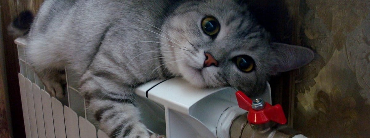 В Гродно отключают тепло в квартирах и жилых домах