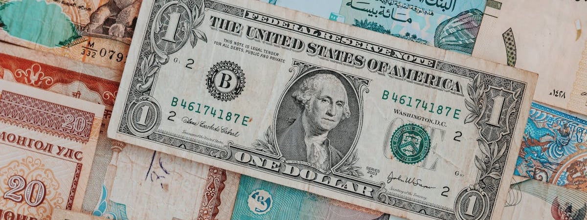 Демократическая партия США формально выбрала Харрис кандидатом в президенты