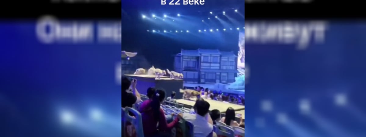 «На фильмы ужасов лучше не ходить» — Видео из интерактивного театра в Китае набрало в TikTok почти 9 млн просмотров — Видео