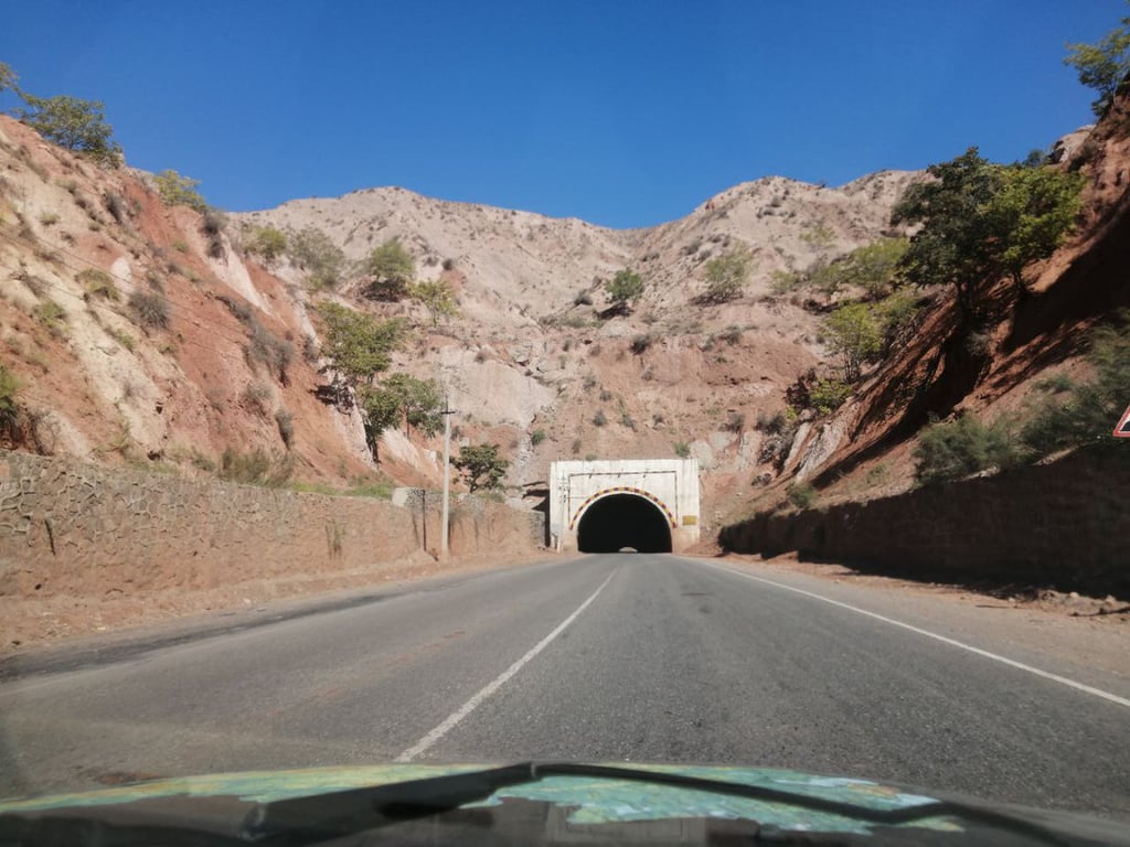 Белорусы посмотрели четыре страны без виз