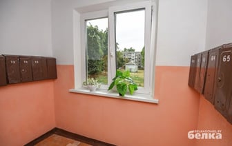 Начните с подъезда. Власти Гомеля зовут горожан на субботник