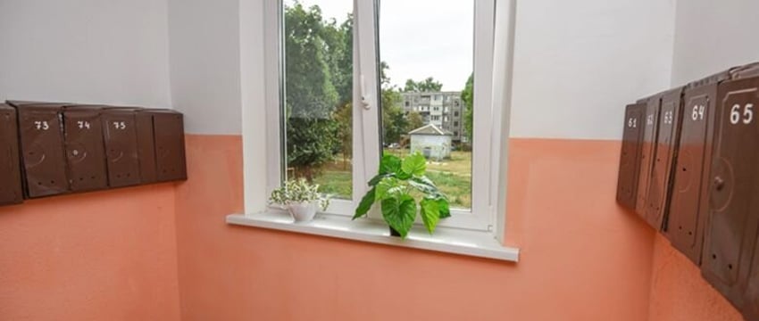 Начните с подъезда. Власти Гомеля зовут горожан на субботник