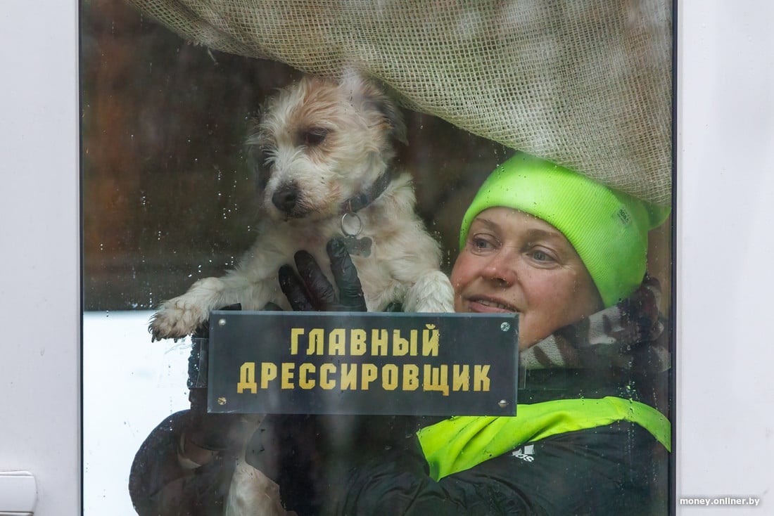 Семья из Беларуси рассказывает, как научилась зарабатывать на хаски