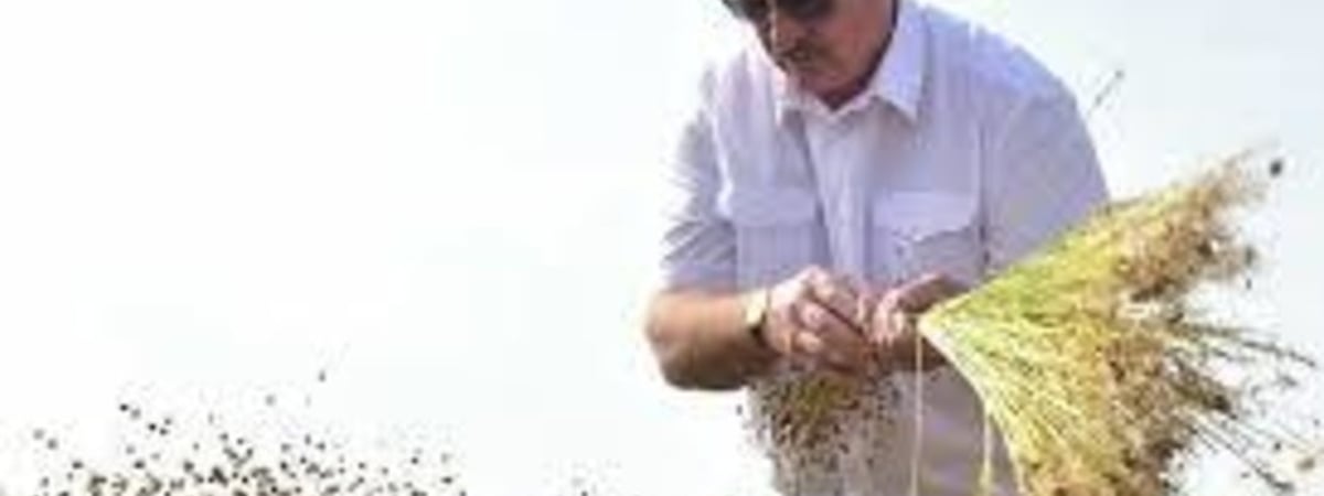 Лукашенко: Не представляю, как можно лечь на пляже и жариться под солнцем