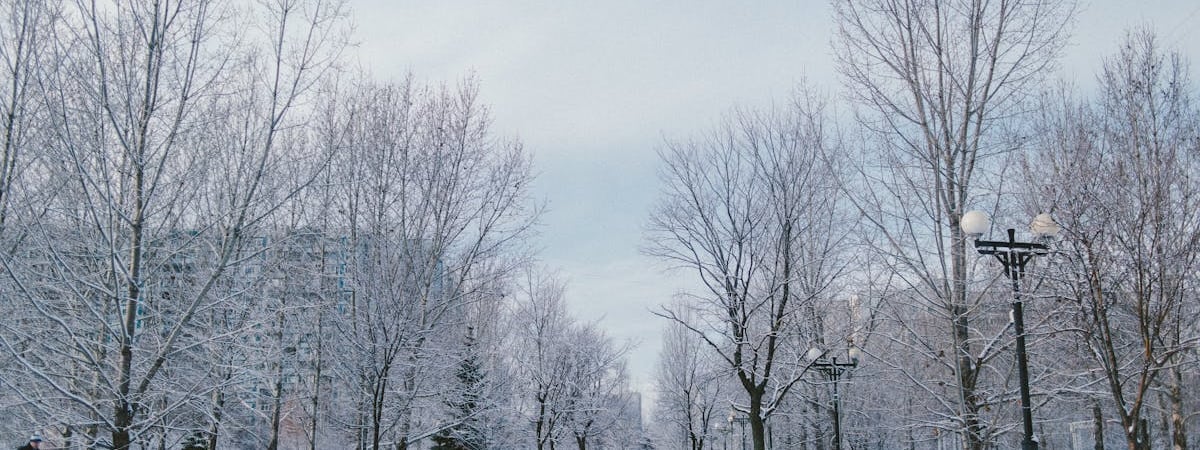 Россия предлагает КНДР до 700 тыс. тонн риса за участие в войне