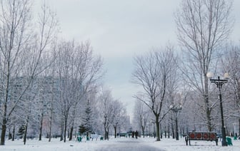 Россия предлагает КНДР до 700 тыс. тонн риса за участие в войне