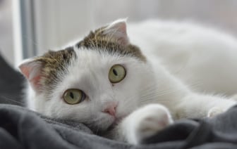 Из‑за российского обстрела Харькова погибли шесть человек, еще 11 получили ранения