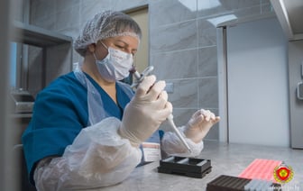 В Гродно женщина обратилась к экспертам, чтобы установить отцовство в отношении ее новорожденного сына — что было дальше