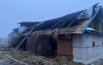 В Стародубовой горел сарай, а в Вертелишках машина