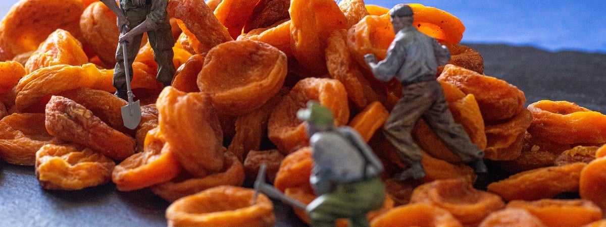 Почему белорусам не стоит покупать оранжевую курагу? Узнали, какой цвет самый настоящий — Полезно