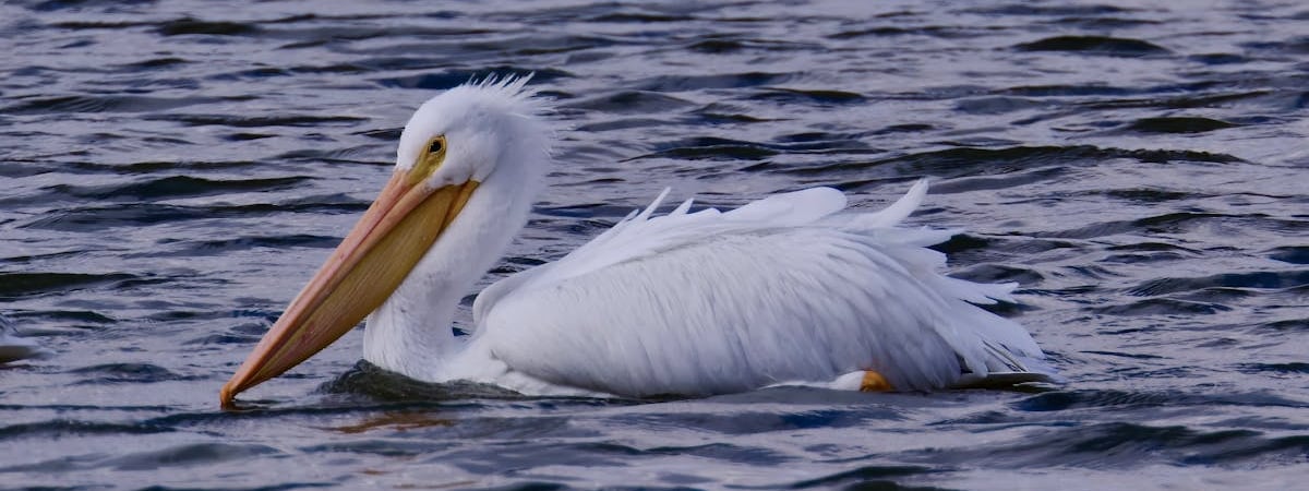 Минюст США оштрафовал BitMEX на $100 млн