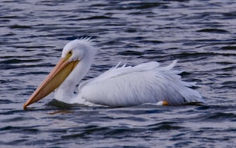 Минюст США оштрафовал BitMEX на $100 млн