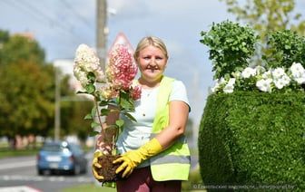 В центре Гомеля установили объемные бокалы