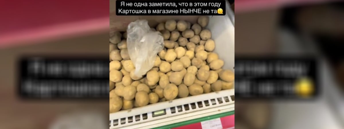 «Надо покупать дачу» — Гомельчанка пожаловались на «не ту» картошку в магазинах. Белорусы из других городов ответили — Видео
