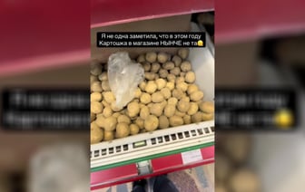 «Надо покупать дачу» — Гомельчанка пожаловались на «не ту» картошку в магазинах. Белорусы из других городов ответили — Видео
