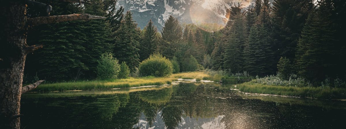 Штат Вайоминг анонсировал выпуск «первого государственного стейблкоина»