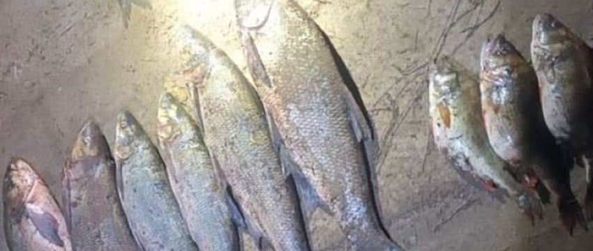В Беларуси мужчина нарыбачил на 6 тысяч рублей