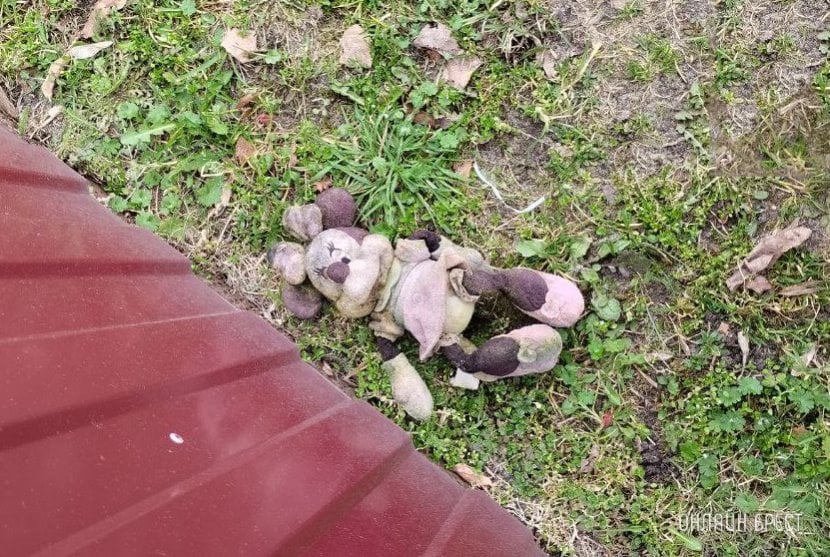 Фото носит иллюстративный характер