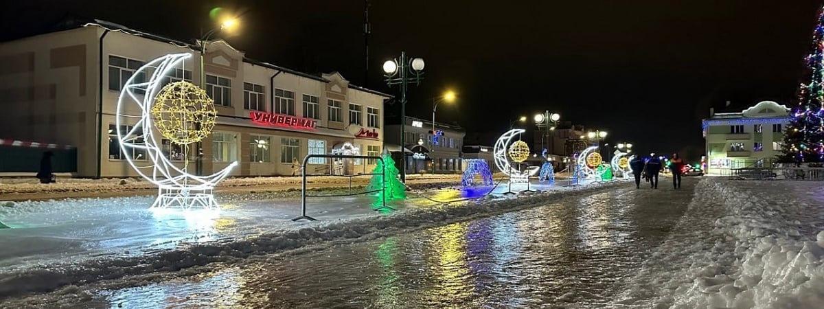 «Чуть на тот свет не отправилась» — Белорусы показали последствия ледяного дождя на Брестчине — Видео