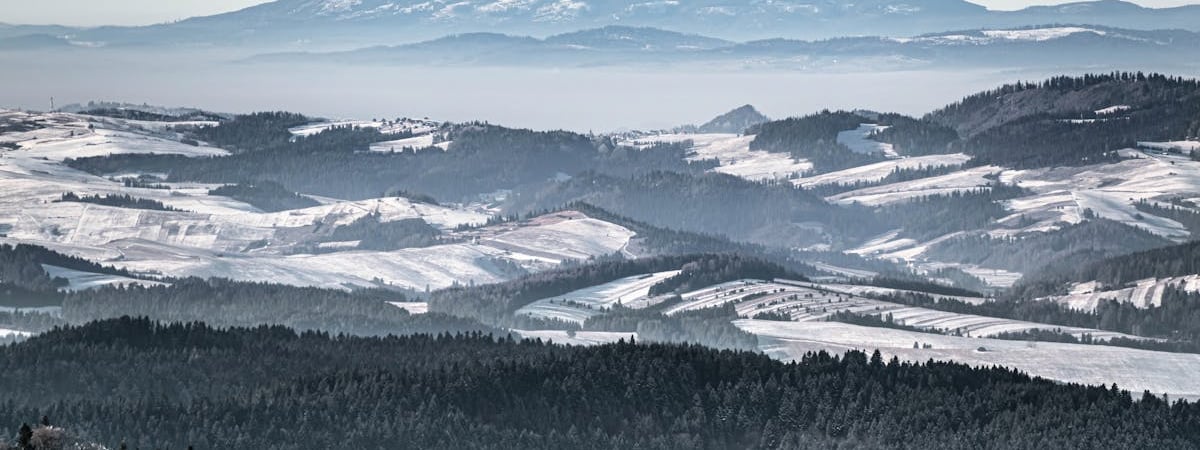 Доля выступающих против введения евро граждан в Польше выросла до 56,5%