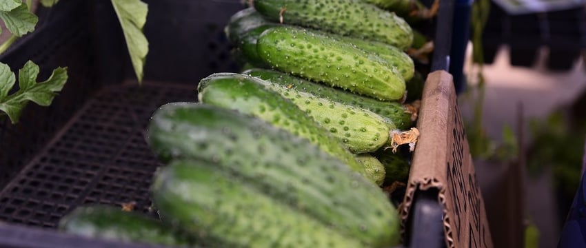 Цены на овощи на рынке в Гомеле