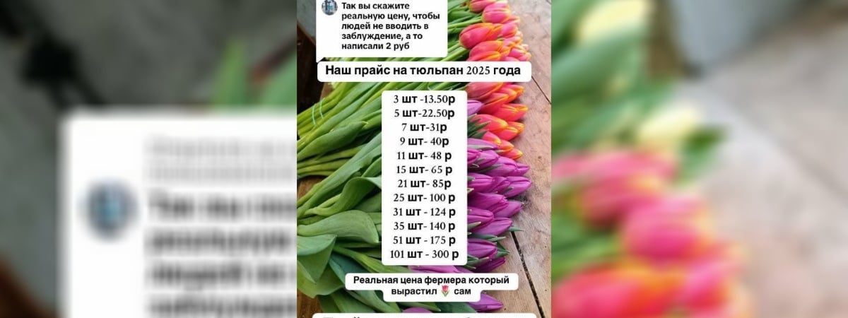 Фермер рассказала в TikTok, сколько будут стоить тюльпаны перед 8 Марта. У белорусов возникли вопросы