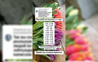 Фермер рассказала в TikTok, сколько будут стоить тюльпаны перед 8 Марта. У белорусов возникли вопросы