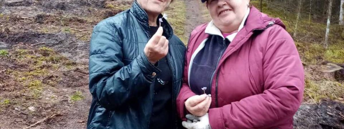 В Липичанской пуще выпускники деревенской школы высадили лес