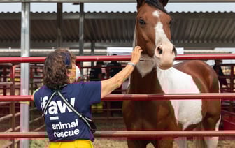 Орбан наложил вето на выделение €50 млрд Украине от ЕС