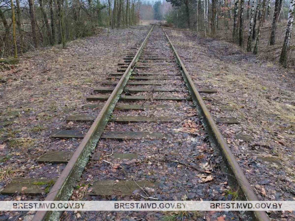 Житель Пинска решил разобрать на металлолом железнодорожные пути