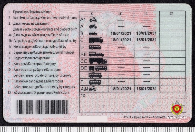 Белорус предъявил инспекторам права, а те отправили документ на экспертизу. Оказалось, не все так просто