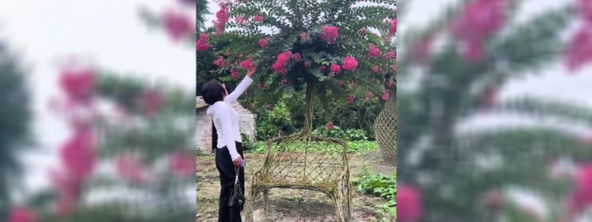 Видео с живым стулом собрало более полумиллиона просмотров в TikTok. Из чего вырастили? — Видео