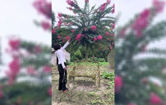 Видео с живым стулом собрало более полумиллиона просмотров в TikTok. Из чего вырастили? — Видео