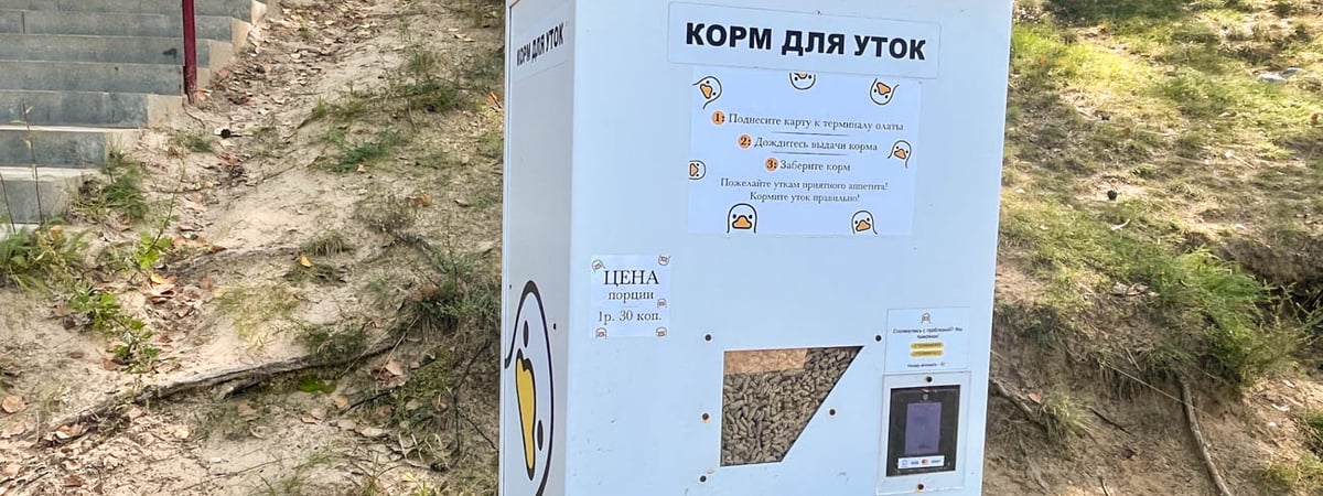 Столовая для уток— на пляже в Гродно появился аппарат для кормления птиц.