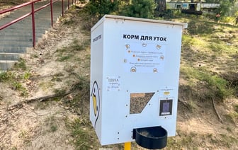 Столовая для уток— на пляже в Гродно появился аппарат для кормления птиц.