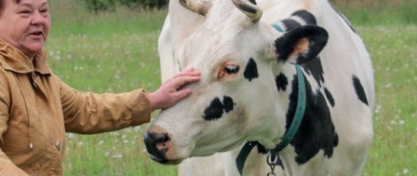 Cемья Игнашевич из Каменецкого района о своем хобби