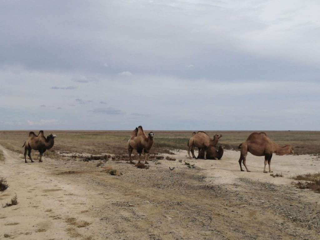 Белорусы посмотрели четыре страны без виз