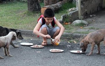 9-летний мальчик открыл приют для бездомных животных