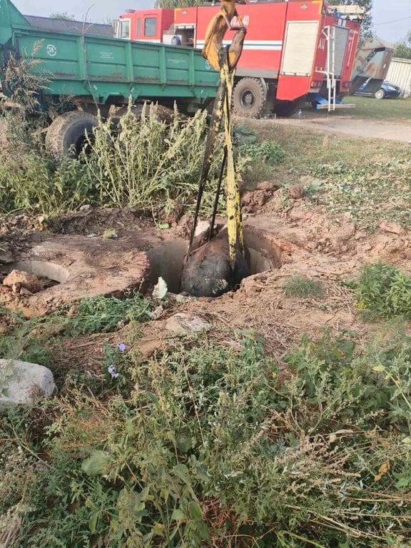 Корова упала в колодец — вот как ее доставали